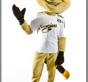 Campus selects "Scotty" as official name for scorpion mascot