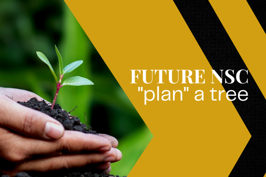 A plant in hand Future NSG "Plan" a tree