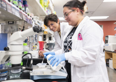 Secondary Education – Biology (BS)