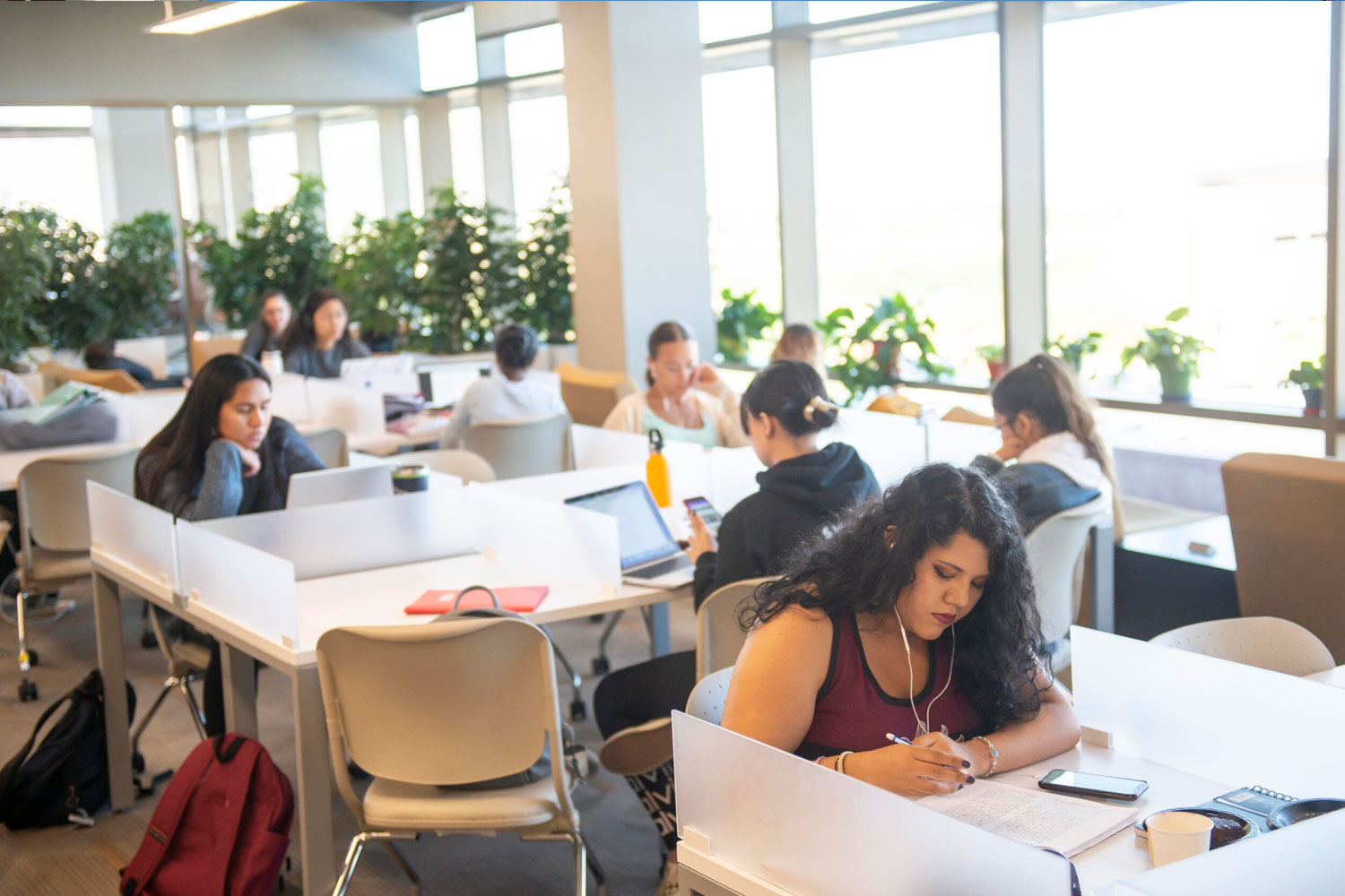 Students quietly studying in the Marydean Martin Library